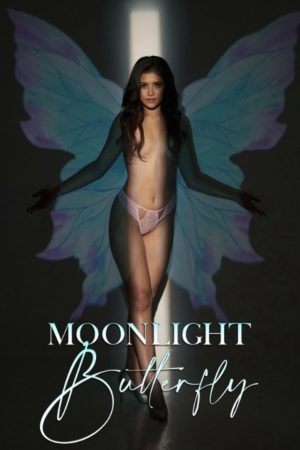 Moonlight Butterfly